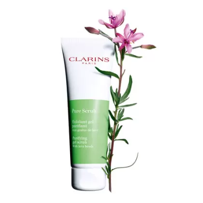 Online Clarins Pure Scrub